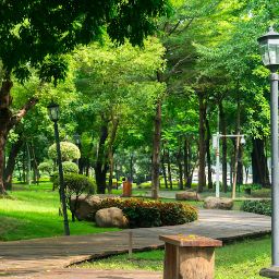 Demanio e patrimonio, arredo urbano e verde pubblico, e manutenzione