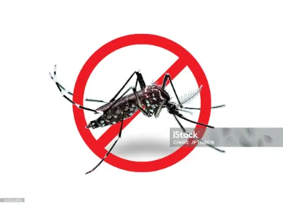 istockphoto-1327212955-2048x2048